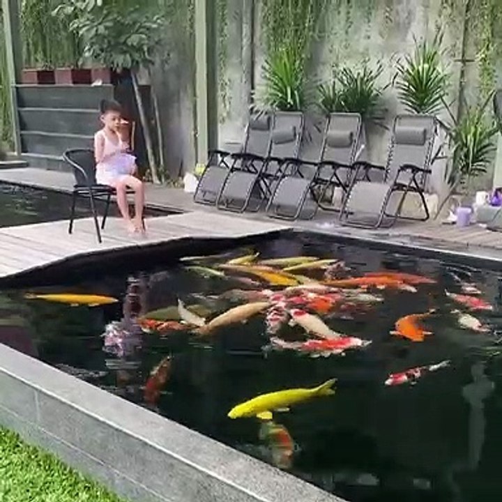 Bata Feeding Sa Koi Fish