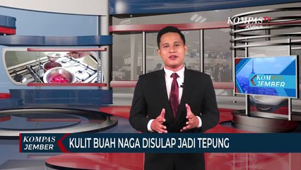 Kulit Buah Naga Disulap Jadi Tepung untuk Bahan Roti dan Smoothies
