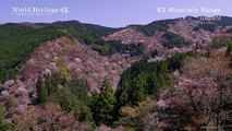 SONY DEMO 4K HDR: The World Heritage Kii Mountain Range – Ngọn núi Nhật Bản hùng vĩ nhất thế giới