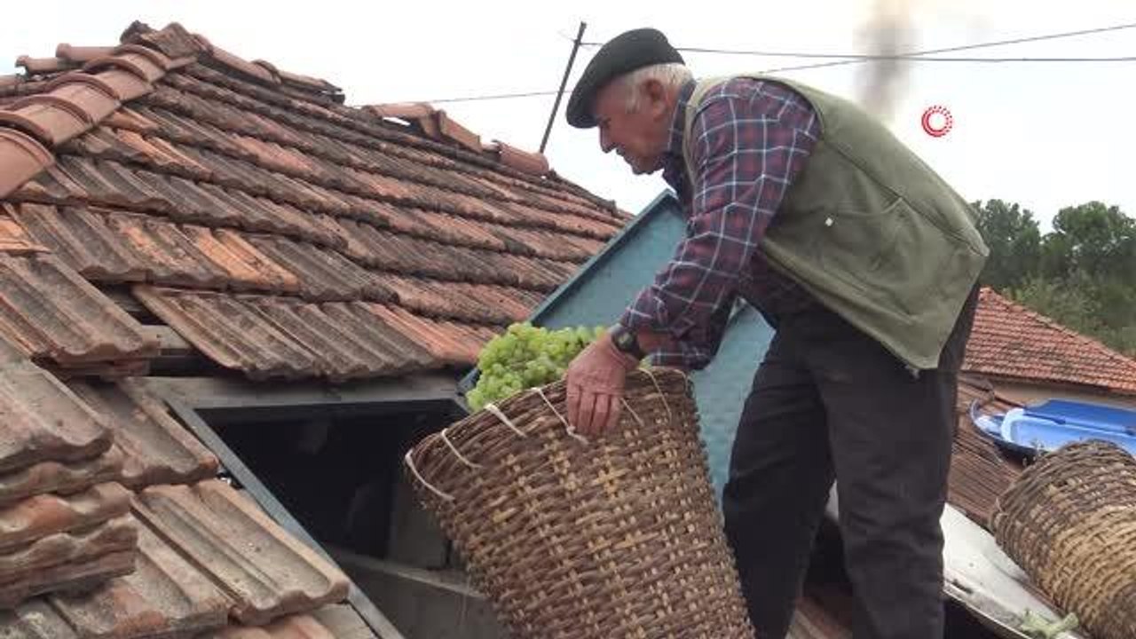Son dakika: İmece usulü geleneksel pekmez yapımı devam ediyor