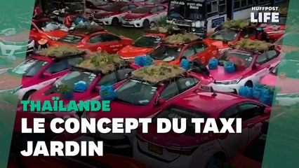 Download Video: À Bangkok, ces taxis ont été transformés en jardins et en potagers