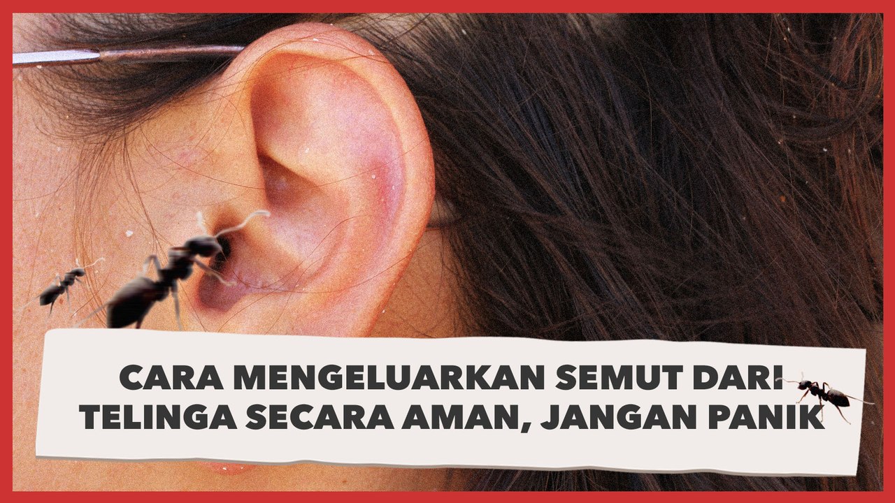 10 Cara Mengeluarkan Semut dari Telinga Secara Aman, Jangan Panik Berlebihan!