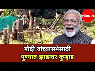 पंतप्रधान नरेंद्र मोदी यांच्यासभेसाठी पुण्यात झाडांवर कुऱ्हाड