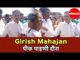 Girisha Mahajan यांचा पीक पाहणी दौरा सुरू |  Nashik