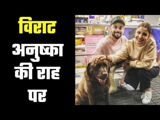 Virat Kohli named PETA India’s Person of the Year