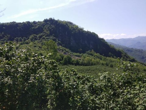 ORDU'DA TAŞ OCAĞI İÇİN 'ÇED GEREKLİ DEĞİL' KARARINA DURDURMA