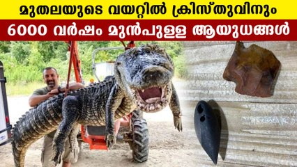 Artifacts made in 6000bc found inside of crocodile