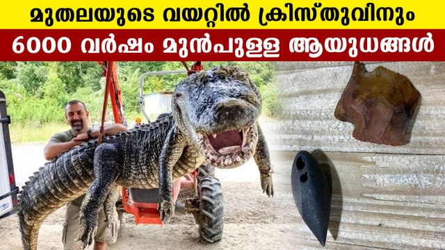 Artifacts made in 6000bc found inside of crocodile