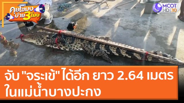 จับ จระเข้ ได้อีก ยาว 2.64 เมตร ในแม่น้ำบางปะกง (17 ก.ย. 64) คุยโขมงบ่าย 3 โมง