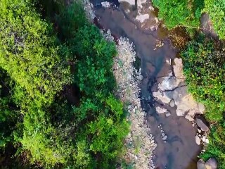 Relaxing Meditation and Stress Relief Music for Focus and Calm