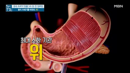 위 정화 돕는 특별한 영양소에 주목하라!