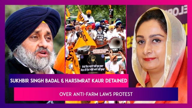 Sukhbir Singh Badal And Harsimrat Kaur Badal Detained In Delhi Over Anti-Farm Laws Protest