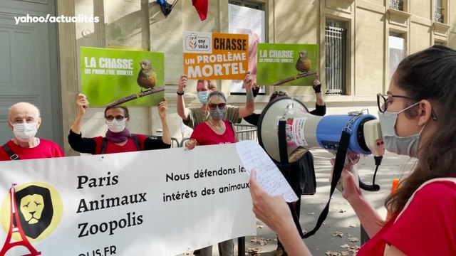Mobilisation d'associations pour la défense des animaux contre les chasses traditionnelles