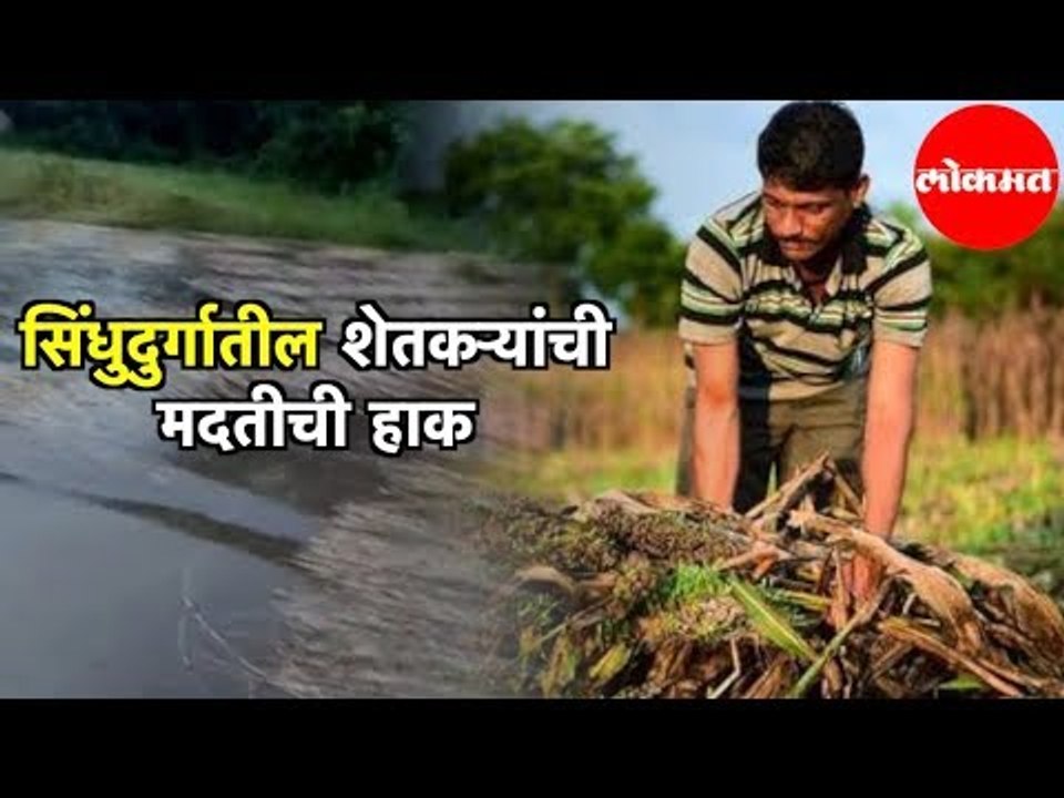 Sindhudurg District | Unseasonal Rain मुळे सिंधुदुर्गात शेतीचे कोट्यवधीचे नुकसान | Konkan