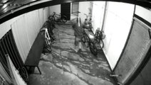 Ladrão aproveita porta aberta, entra em empresa e furta bicicleta de funcionário