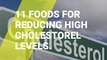11 foods for reducing high cholesterol levels
