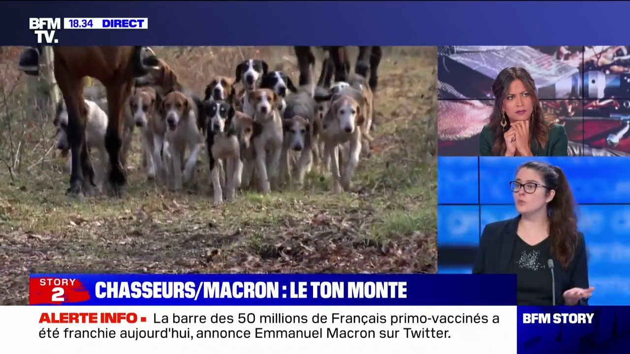 Amandine Sanvisens (Paris Animaux Zoopolis): "Le lobby de la chasse fait la loi en France sur tout ce qui concerne la chasse"