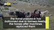 Wild Horses in Bosnia Cause Headaches for Farmers While Tourists Love Them!