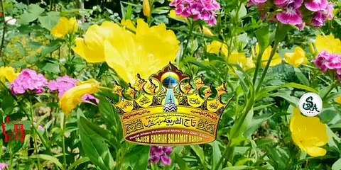 #DUSHMAN NABI KO DEKH KAR HAIRAAN HO GAYE #NAAT