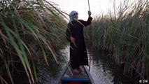 Iraq’s marshes are drying up