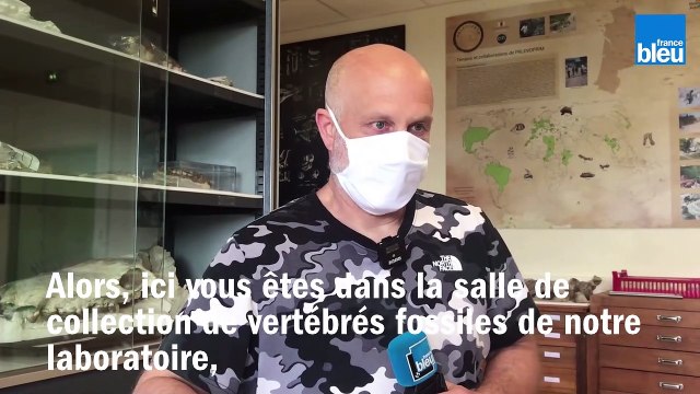 Journées du patrimoine 2021 : le laboratoire Palévoprim de Poitiers ouvre ses portes au public