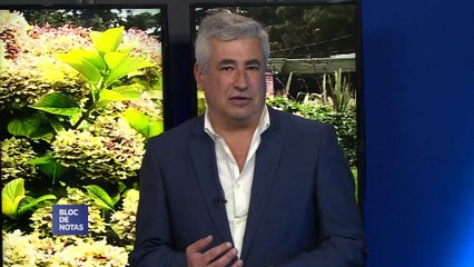 BLOC DE NOTAS RESUMEN - PROGRAMA 186