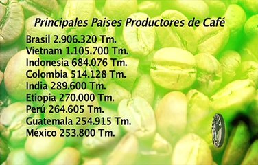 Sembrando un País | Conoce las etapas de la producción de café