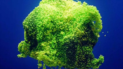 what is artificial neural network?