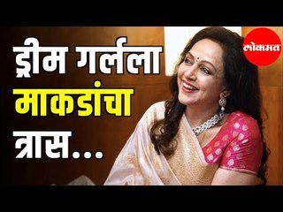 MP Hema Maliniला माकडांचा त्रास | खासदारांनी व्यक्त केली चिंता | Loksabha Debate | Delhi