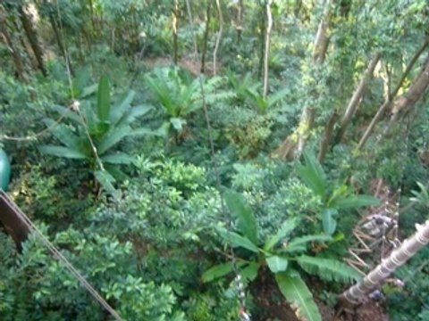 attrape le ponpon !!!