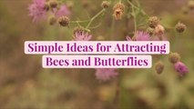 Simple Ideas for Attracting Bees and Butterflies