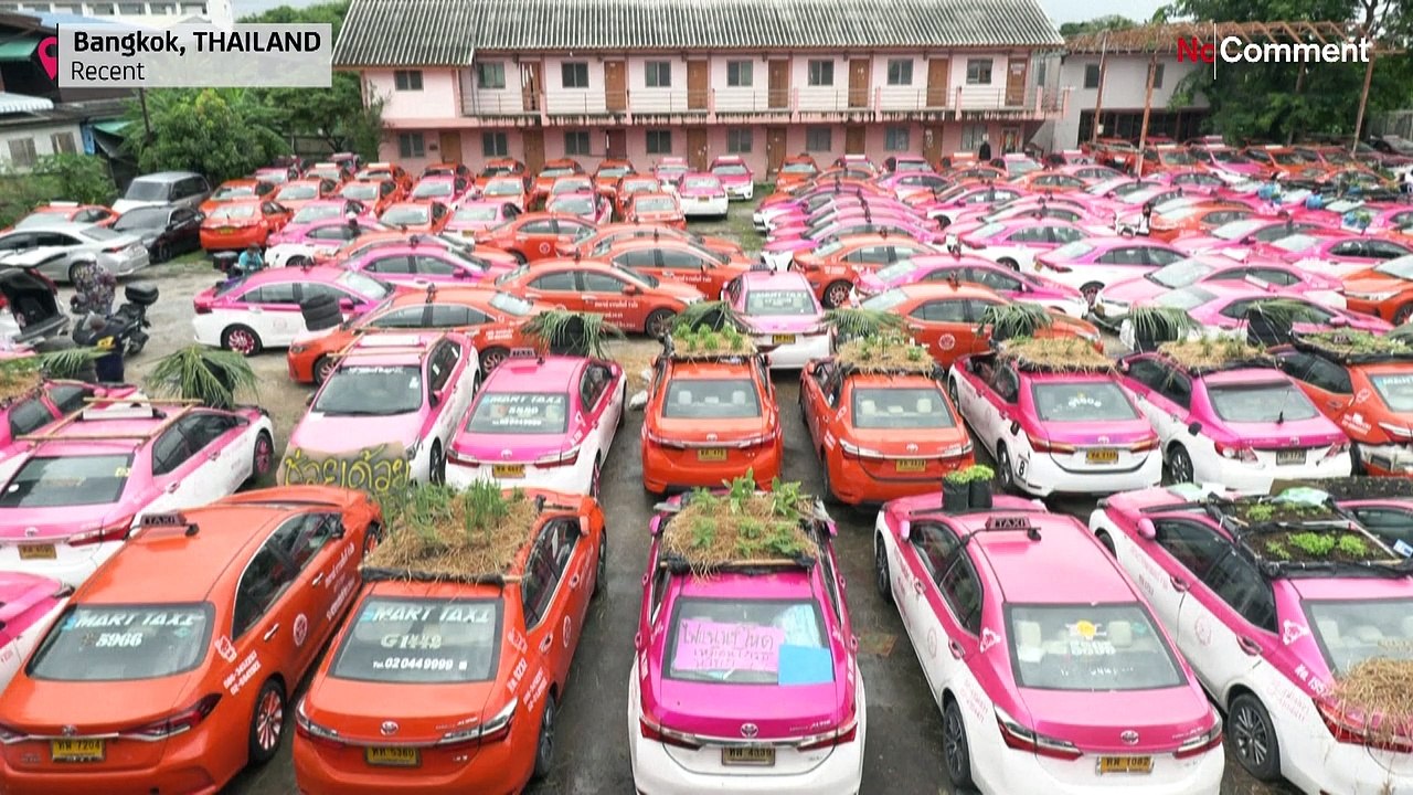 Bangkok: Gemüsegärten und Froschteiche gedeihen auf abgestellten Taxis