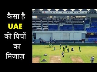 How is the nature of the UAE pitches ?  कैसी हैं यूएई की पिचें ?