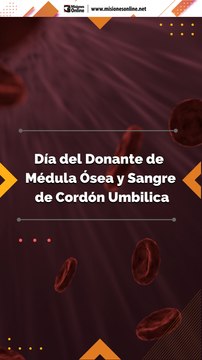 Día del Donante de Médula Ósea y Sangre de Cordón Umbilical