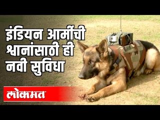 Army Dog Unit Develops Audio Video System with Bullet Proof Jacket for Dogs | New Delhi