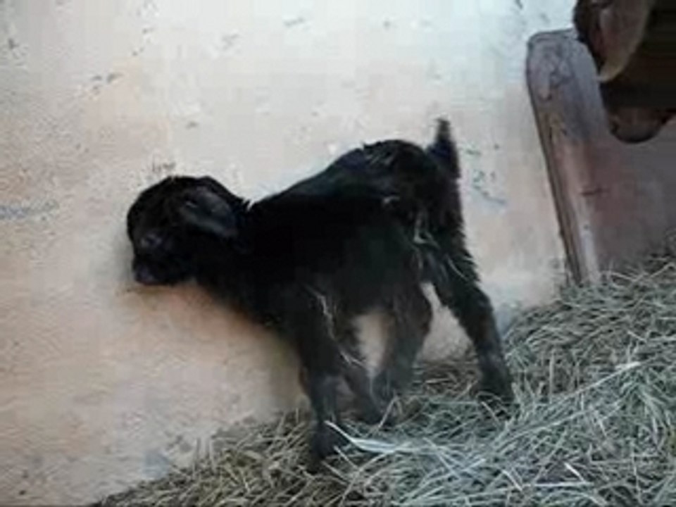 Une surprise au Mas des Beautuyas