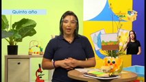 #AprendoEnCasa Ciencias: Nutrición autótrofa y heterótrofa (Quinto Año - Primaria)