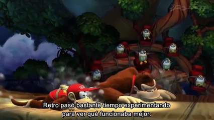 DKC Tropical Freezce: Developer Direct