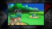 Pokemon XY: Evoluciones de Chespin, Fennekin y Froakie