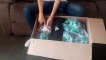 UNBOXING ADIDAS SOCCER BALLS REAL MADRID AND CHAMPIONS LEAGUE IN ADDITION GHOSTED .4 SHOES (TIMELAPSE)