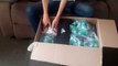 UNBOXING ADIDAS SOCCER BALLS REAL MADRID AND CHAMPIONS LEAGUE IN ADDITION GHOSTED .4 SHOES (TIMELAPSE)