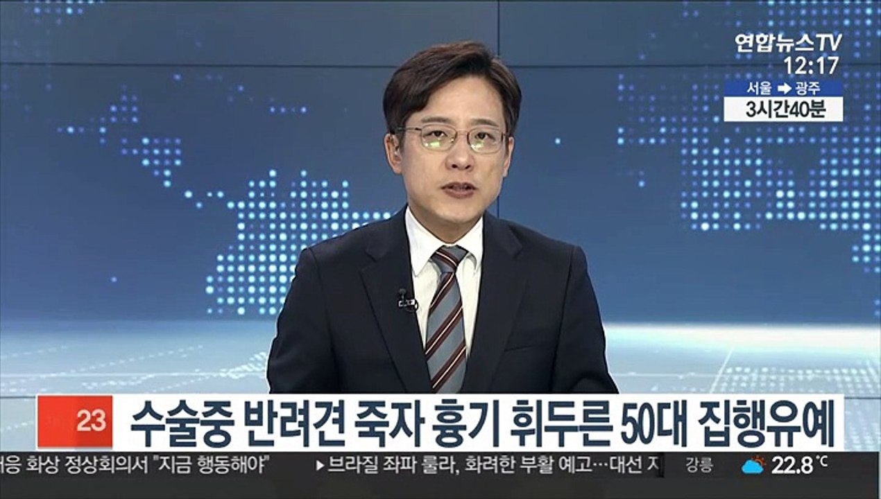 수술중 반려견 죽자 흉기 휘두른 50대 집행유예
