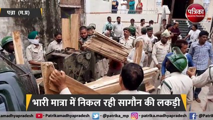 बेशकीमती सागौन लकड़ी की कालाबाजारी