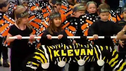 Natures Weirdest Events (自然现象揭秘)