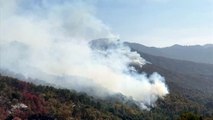 Waldbrände in Kalifornien: Feuerfeste Decken für die Mammutbäume