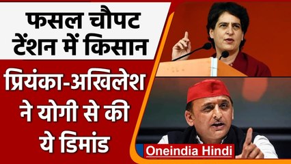 UP में लगातार हो रही बारिश से Farmers को हुआ Loss, Priyanka और Akhilesh ने कहा ये | वनइंडिया हिंदी