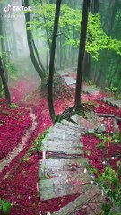 Top Trending   The Best TikTok Videos Compilation - Ep. #90