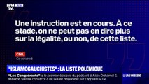 Lille: une mère de famille verbalisée par la police municipale, les passants choqués