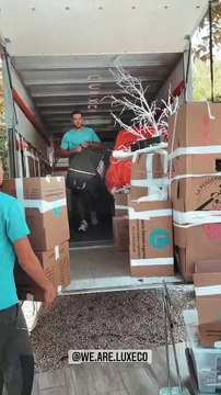 Simon Castaldi et Adixia amoureux : ils prennent une grande décision pour leur futur à deux !