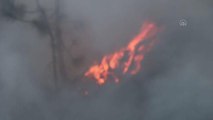 Son dakika haber! Tarım ve Orman Bakan Yardımcısı Metin'den sel ve orman yangını değerlendirmesi